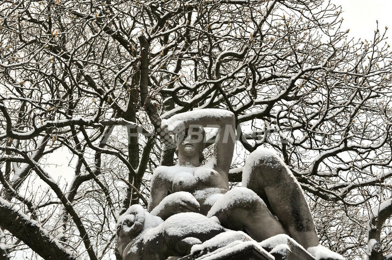 キツネも駆け回る、雪のブリュッセル