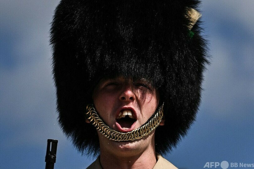 【今日の1枚】クマ毛皮帽子「ベアスキン」で横一列 英