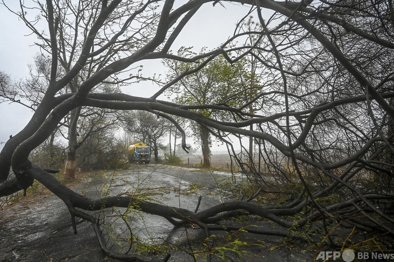 印コロナ死者、1日4329人で過去最多 サイクロン死者33人に