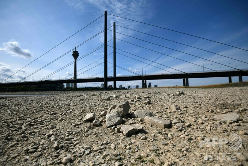干上がる川、真夏の落ち葉... 猛暑の余波 ドイツ