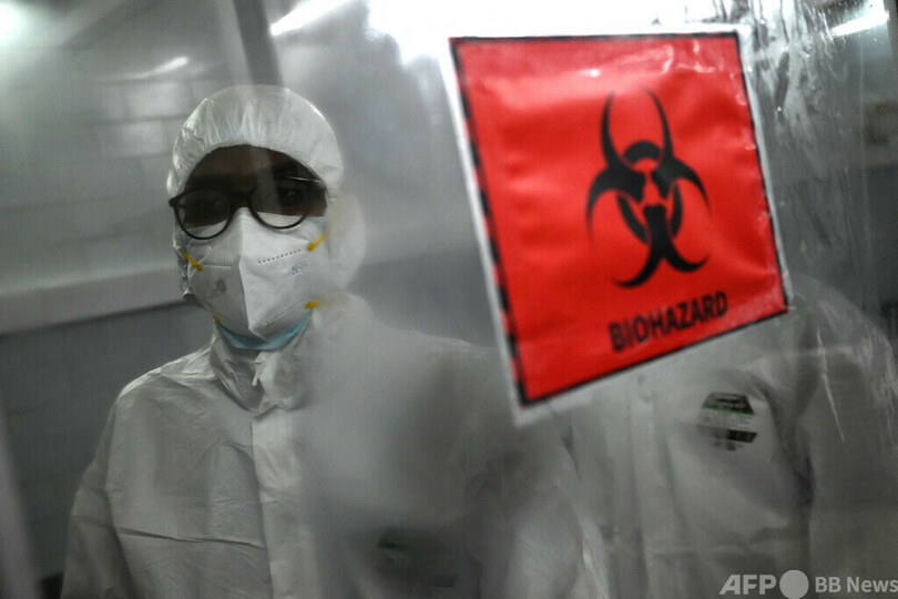 サル痘と関連か ブラジルでサル襲撃増加、WHOが注意喚起