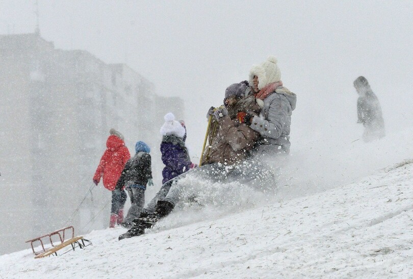 大雪でもビシッと整列、ルーマニアのアヒルたち