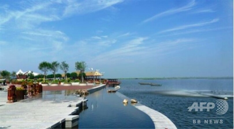 よみがえった都会の大自然 天津市の七里海湿地が復元