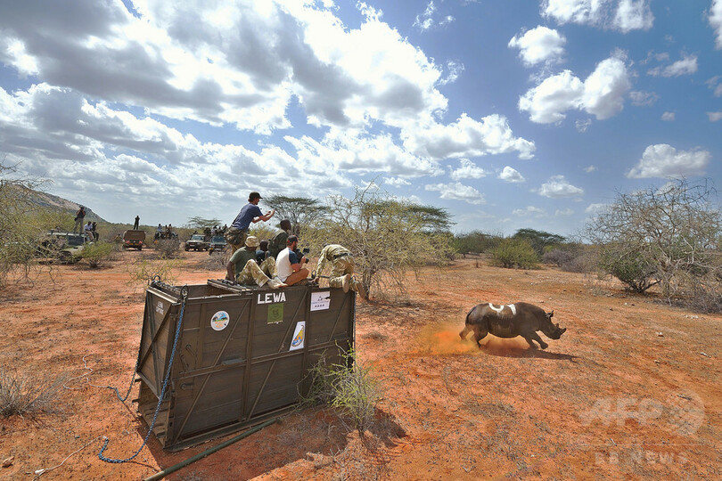 サイを救いコミュニティーも救う、ケニアの新たな取り組み