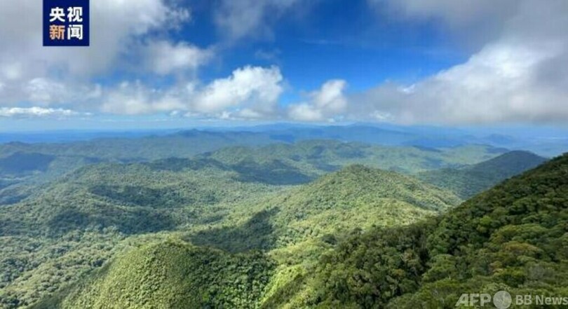中国初の熱帯雨林の炭素排出量取引を完了