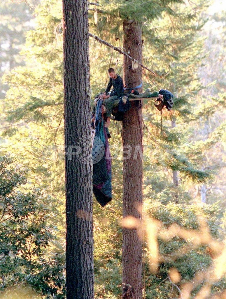 米「エコテロリスト」に禁固19年、政府施設の攻撃を計画