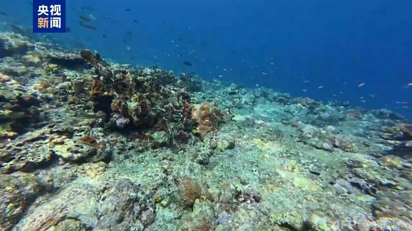 中国 「黄岩島サンゴ礁生態調査報告」を発表