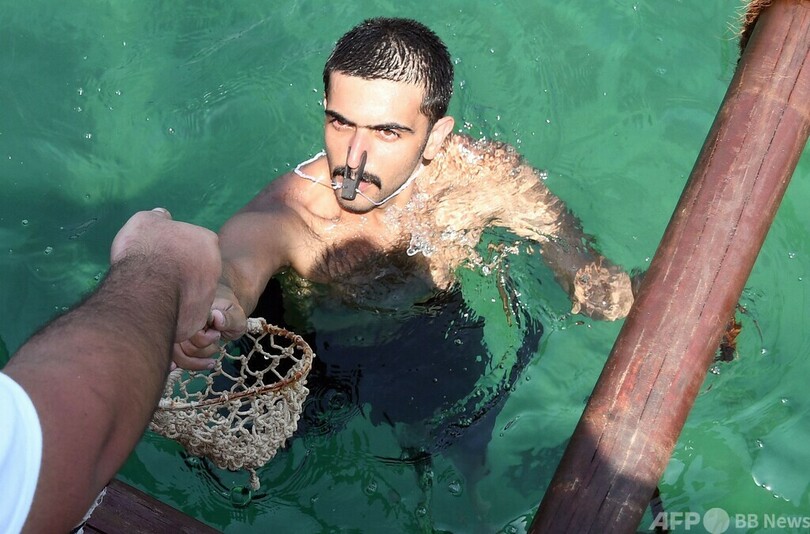 毎年恒例「真珠採り」開催 クウェート