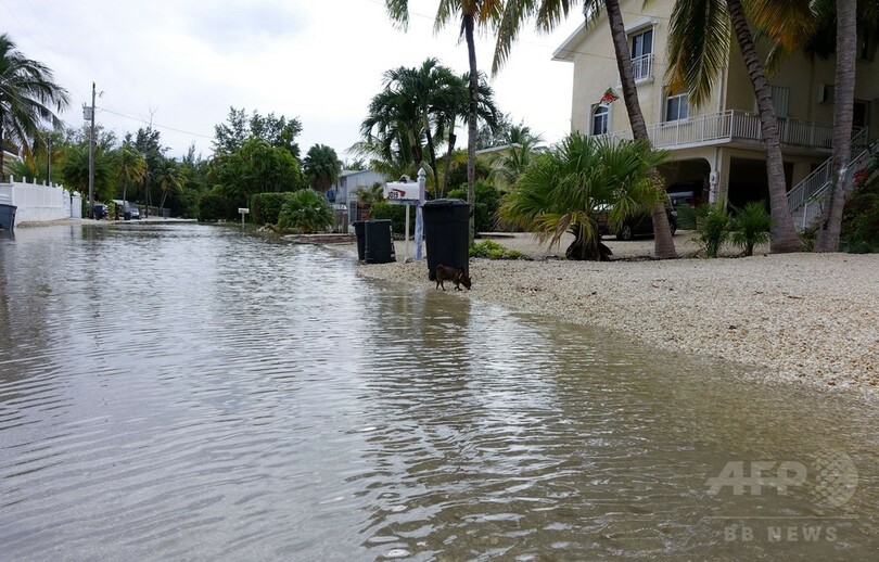 まるで運河、米フロリダの道路が高潮で水没