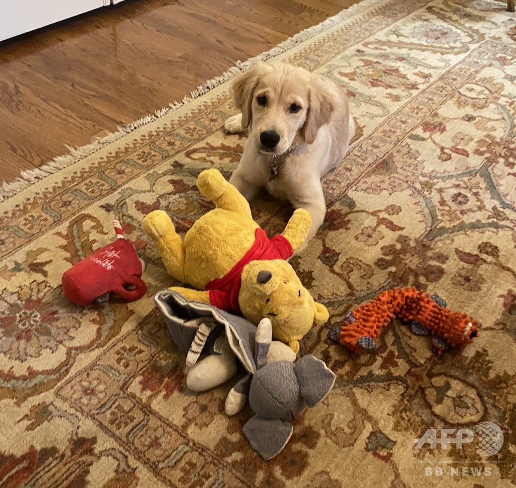 愛犬も中国批判に一役 米ポンペオ氏 くまのプーさん の写真が話題 写真2枚 国際ニュース Afpbb News