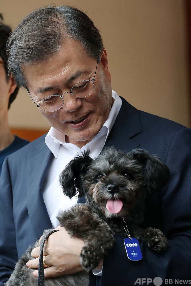 愛犬家の韓国大統領、犬肉食禁止を検討か