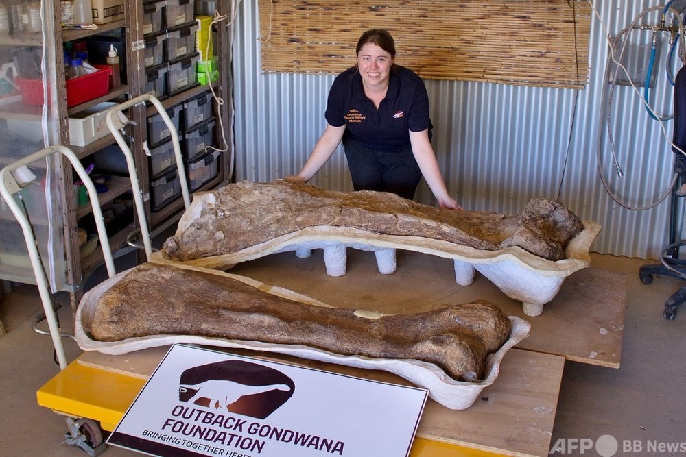 豪の恐竜の化石、ティタノサウルスの新種と判明 世界最大級 写真5枚