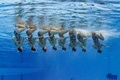 スペイン・バルセロナ（Barcelona）で開催されている第15回世界水泳選手権（15th FINA World Championships）。水中カメラで撮影されたシンクロナイズドスイミング・チームの演技の様子。

チームテクニカルルーティン（TR）予選で演技する日本の選手（2013年7月20日撮影）。(c)AFP/FRANCOIS XAVIER MARIT