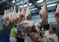 アルゼンチン・ブエノスアイレスの食肉店で働く従業員（2016年2月18日撮影、資料写真）。(c)JUAN MABROMATA / AFP