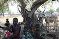 国連（UN）が公開した、南スーダン東部ジョングレイ（Jonglei）州ピボル（Pibor）での民族衝突を逃れてきた避難民たちの写真（2012年1月5日提供）。(c)AFP/UN/ISAAC BILLY