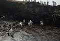 ペルー・リマ北部アンコンで、海岸に漂着した原油を除去する作業員（2022年1月22日撮影）。(c)Carlos REYES / AFP