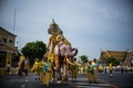 タイ・バンコクの旧市街にある王宮近くで、ワチラロンコン国王に敬意を表すための行進に参列する象（2019年5月7日撮影）。(c)Jewel SAMAD / AFP