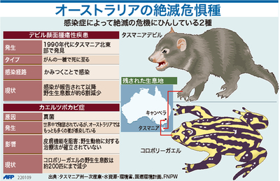 【図解】オーストラリアの絶滅危惧種