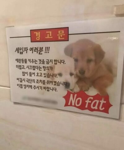 「NO Fat」で大爆笑…韓国・集合住宅の“英語ミス看板”にネット騒然、正しくは「NO Pet」