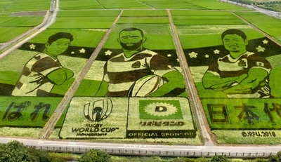 田んぼから応援、ラグビー日本代表の巨大アート出現 埼玉