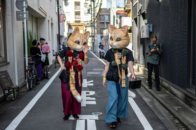 【今日の1枚】東京・神楽坂に化け猫出現?