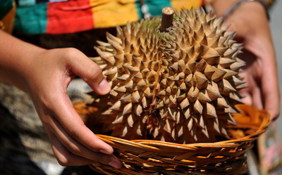 フィリピンの「有毒」菓子、被害者2000人近くに
