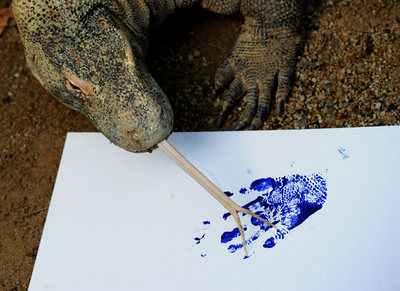 人間の手にそっくり？コモドオオトカゲが「手形」に挑戦