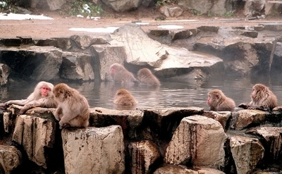 火山国の日本、地熱エネルギーの先駆者に 米環境学者