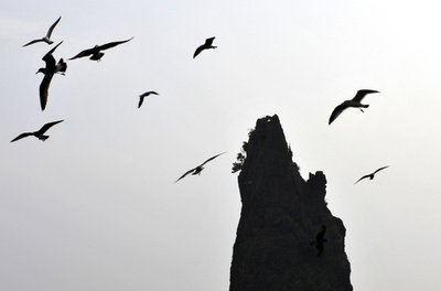 「宝船発見」と主張の韓国企業、当局が調査開始 相場操縦などの疑い