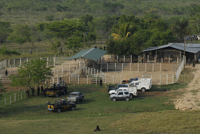 農場に頭部切断27遺体、麻薬組織犯行か グアテマラ