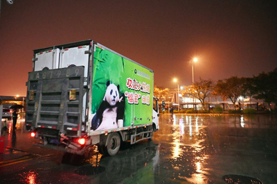 韓国生まれのジャイアントパンダ「福宝」、成都への帰国