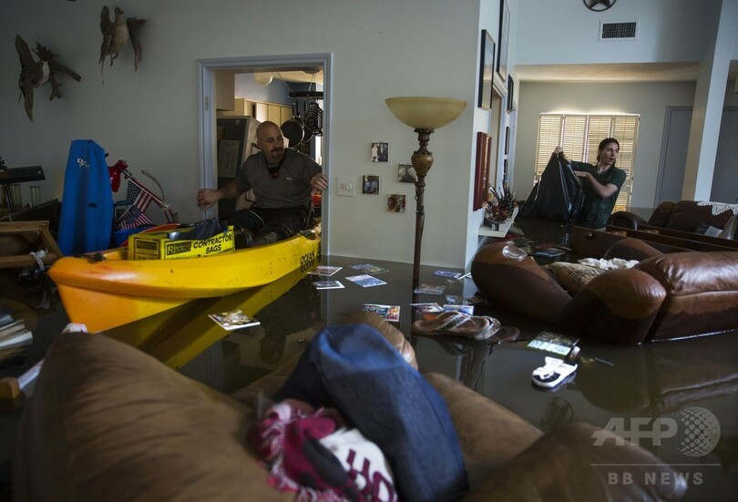 ハリケーン「ハービー」で保護施設からワニ脱走の恐れ 米テキサス