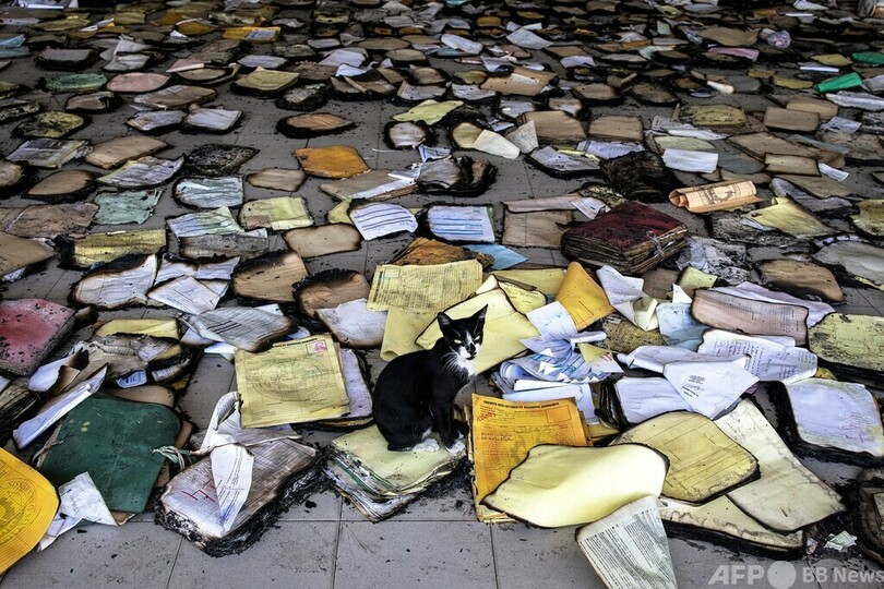 【今日の1枚】文書を守るはネコの務め？ セネガル