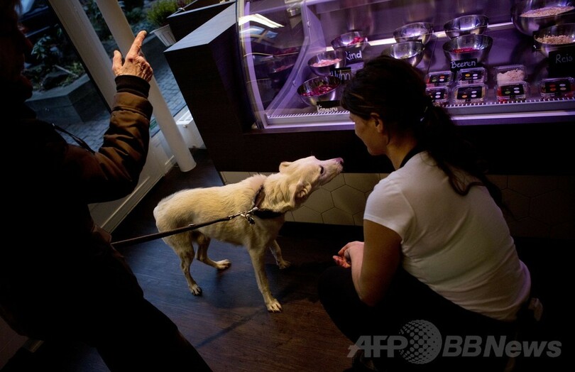 ドイツ・ベルリンに「犬専用デリ」オープン
