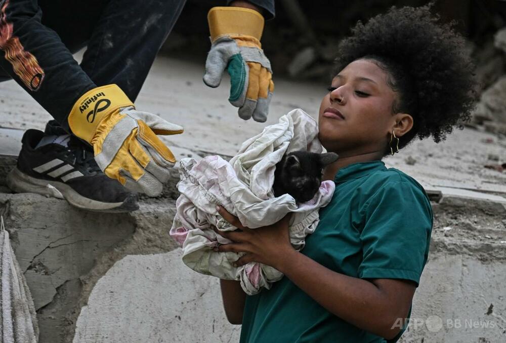 ベネズエラ地震、はぐれたペットを捜す飼い主たちの奮闘