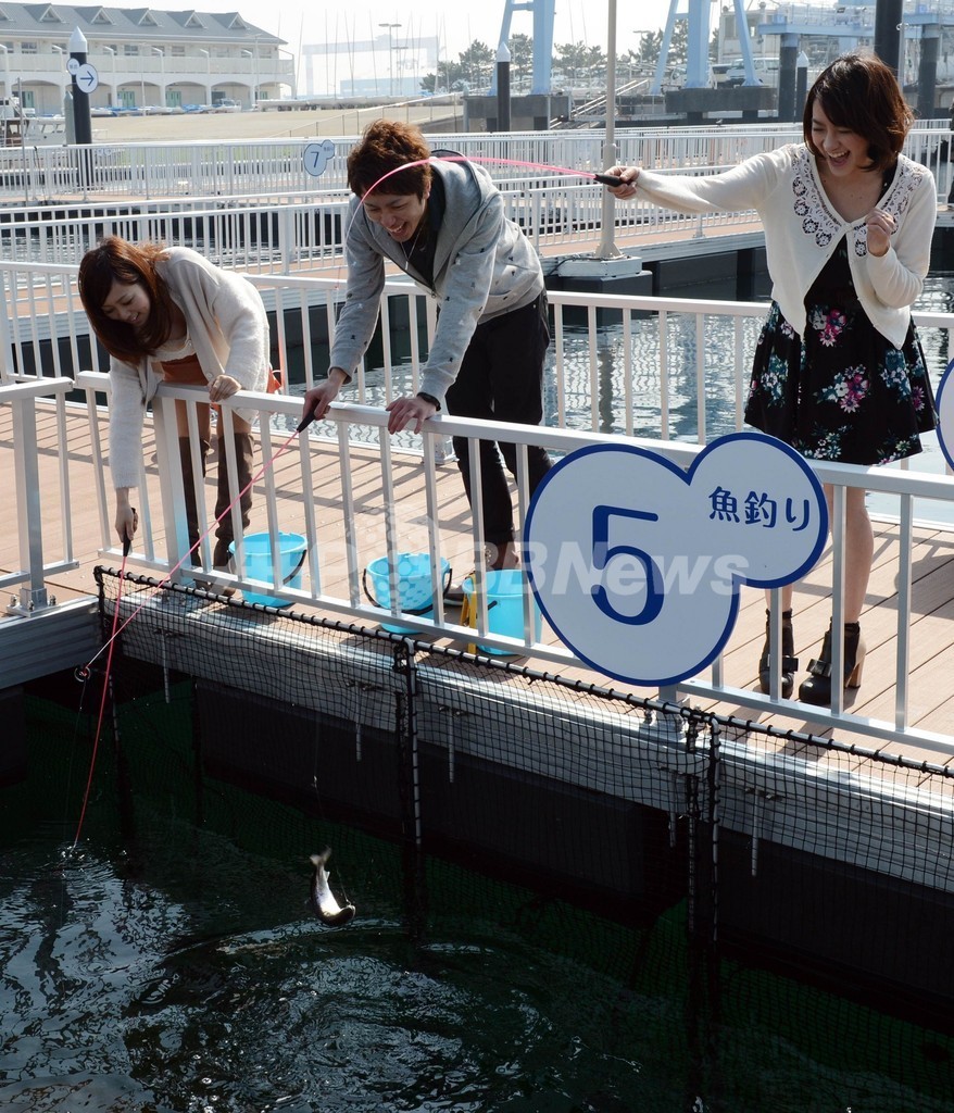 新施設 うみファーム で海と触れ合おう 八景島シーパラダイス 国際ニュース Afpbb News