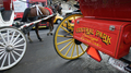 米ニューヨーク（New York）のセントラルパークサウス（Central Park South）を走る馬車（2007年12月20日撮影）
。(c)AFP/DON EMMERT