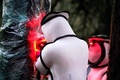 米ワシントン州ブレインでオオスズメバチの巣を駆除する当局職員ら（2020年10月24日撮影）。(c)Elaine Thompson / POOL / AFP