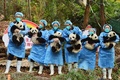 中国・四川省の成都ジャイアントパンダ繁殖研究基地で、写真撮影に臨むパンダの赤ちゃん（2022年12月29日撮影）。(c)AFP
