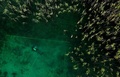 アルバニア南東部にあるオフリド湖で考古資料を探すダイバー（2023年7月27日撮影）。(c)Adnan Beci / AFP