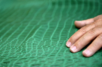 仏LVMH、わに皮の「責任ある供給」に向け新規定を制定