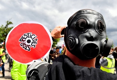 パリなど仏5都市、農薬の使用を禁止