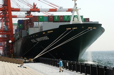 海の生態系を脅かす侵略的外来種、1日7000種が「密航」