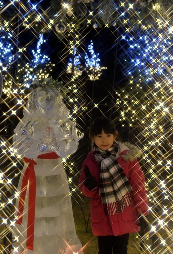 光に彩られた氷の彫刻、都内の庭園で公開中