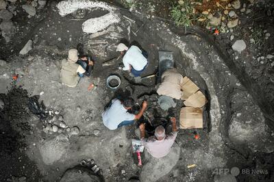 中米コスタリカ、マストドンと巨大ナマケモノの化石発見