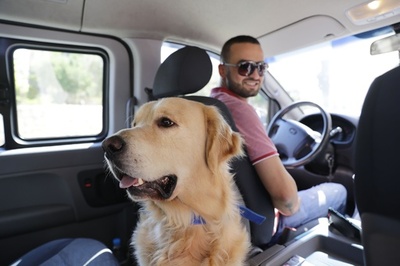 ペット送迎専門タクシー、レバノン