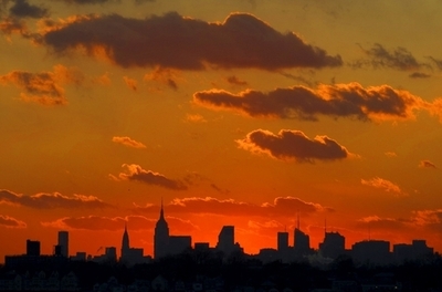 米NYに謎の新種ゴキブリ繁殖中！？高校生ペアの調査で浮上