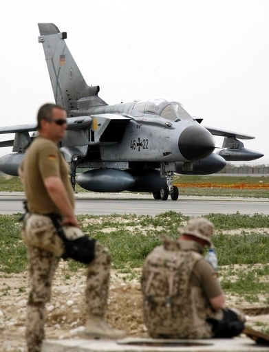 シロアリがドイツ軍を攻撃、アフガン国境近くの空港で