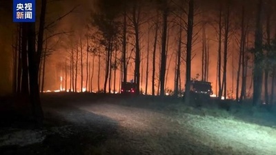 フランスとスペインの山火事 延焼速度が緊急対応能力上回る＝EU
