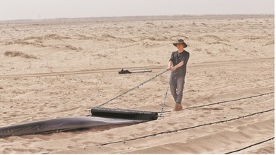 中国の若者、4万人以上を率いて砂漠化防止に取り組む